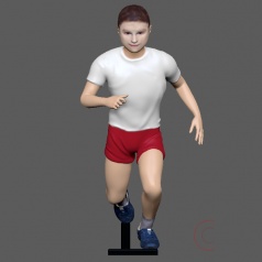 Model proporcjonalny